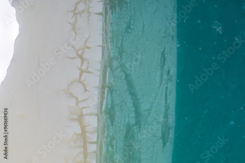 Abstract Close-up of Green ...