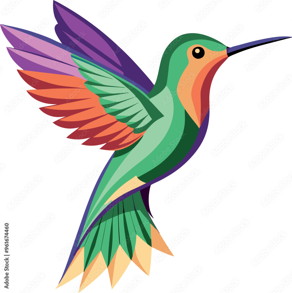 Fototapeta premium Colorful vector illustration of a hummingbird, showcasing its vibrant feathers and dynamic pose in a stylized design