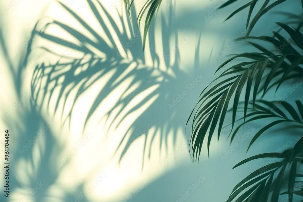 Fototapeta premium palm leaves on the light wall