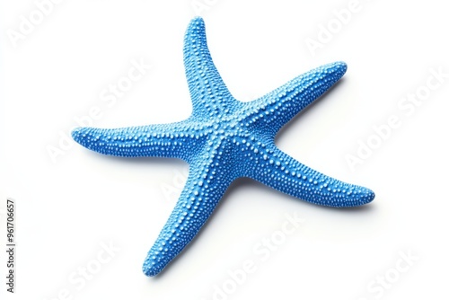 Blue Starfish. Top View of Marine Animal on White Background with Copy Space