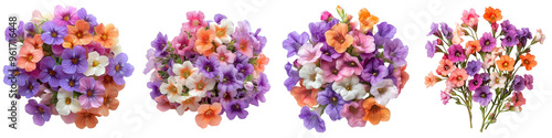 Nemesia - Small fragrant flowers in shades of pink purple orange and white often used in containers. Isolated on Clear White Background Highly Detailed 