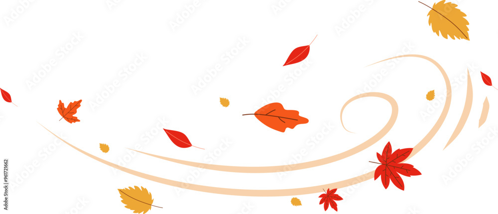 custom made wallpaper toronto digitalAutumn Wind Blown Leaves