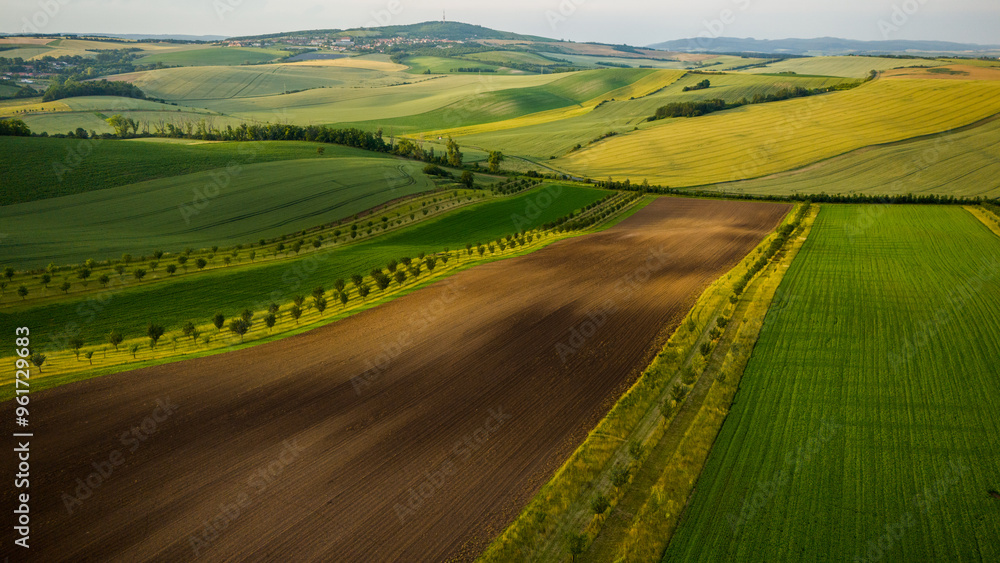 Fototapeta premium Rural drone aerial view landscape of farm fields and rolling hills in South Moravia, Czech Republic