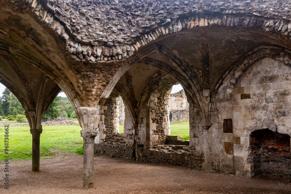 Obraz premium The Ruins of Waverley Abbey