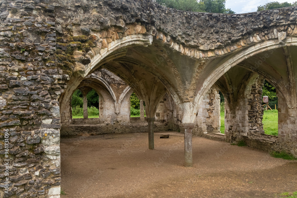 Obraz premium The Ruins of Waverley Abbey
