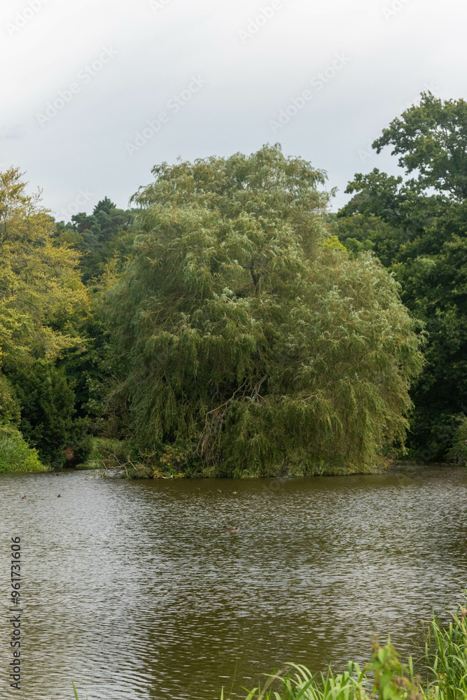 Natural Parkland near Farnham Surrey Natural Parkland near Farnham Surrey