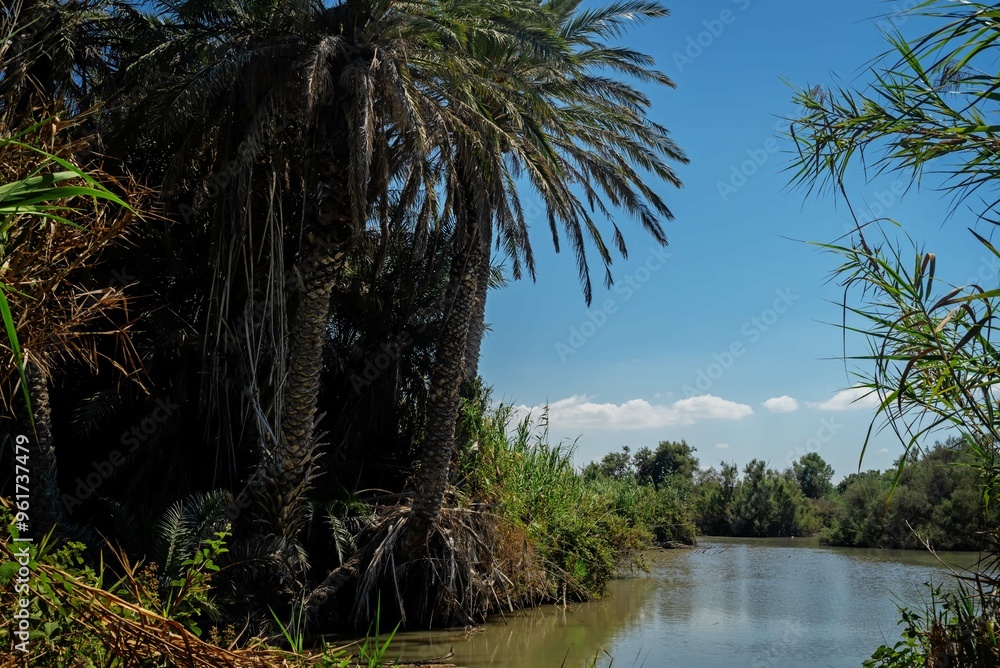Obraz premium En Afek National Park, Israel