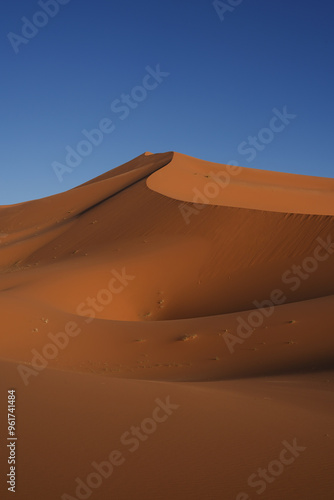 Beautiful landscape desert dune with blue sky