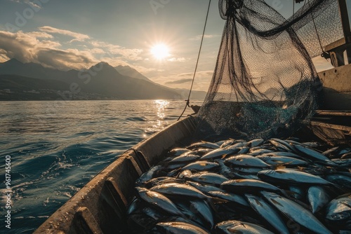 fishing boat in net fish catch photo