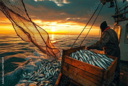 fishing boat in net fish catch photo