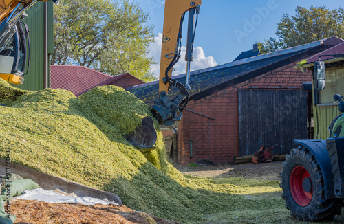 Obraz na płótnie Bagger verteilt Mais auf einer Maissilage während der Maisernte w salonie