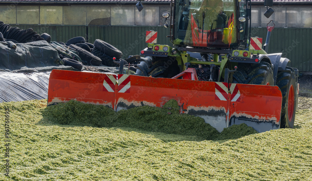 Traktor auf einer Maissilage während der Maisernte