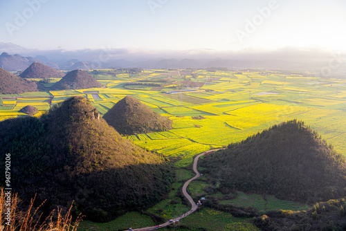 Beautiful yellow field full of rapeseed in Luoping at Yunnan of China during the sunset, dreamy landscape, copy space for text photo