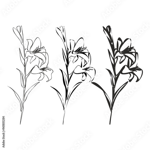 Set of Lily Line Drawing. Black and white Floral Bouquets. Flower Coloring Page. Floral Line Art.