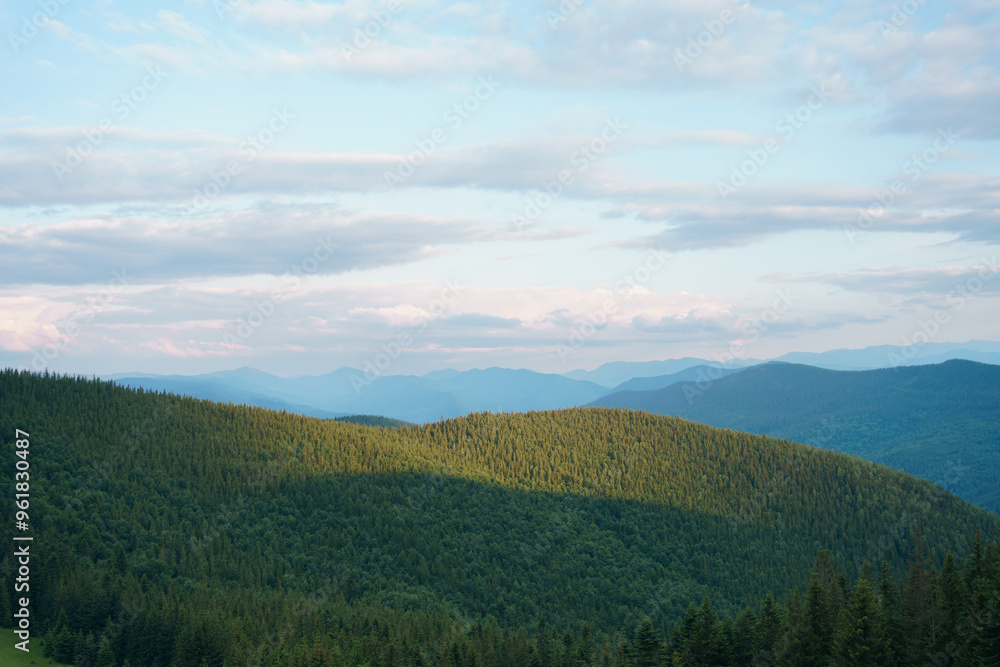 A view of a coniferous forest and mountains illuminated by the morning rays of the sun and a blue sky with clouds. Image for your design A view of a coniferous forest and mountains illuminated by the morning rays of the sun and a blue sky with clouds. Image for your design