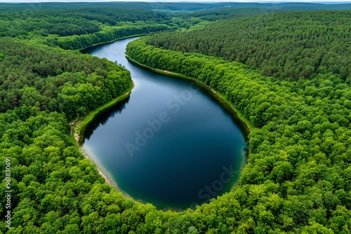 Aerial view, forest and river, natural borders where the water meets the trees in a harmonious blend