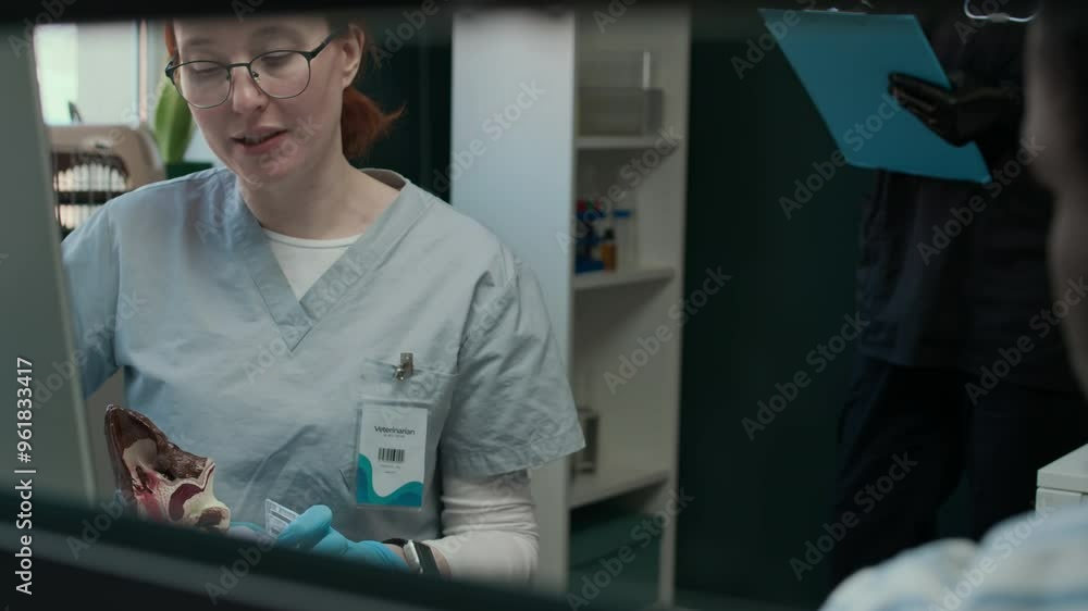 Caucasian female vet showing pet owner how to give ear drops while using anatomy auricle layout during consultation in modern clinic Caucasian female vet showing pet owner how to give ear drops while using anatomy auricle layout during consultation in modern clinic