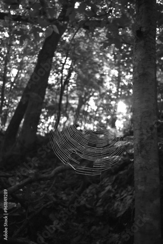 Parc Mauricie Lac Wapizagonke Et Sentier National 7 Septembre 2024 photo