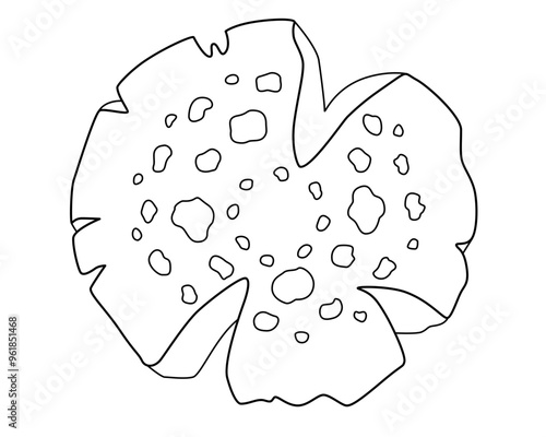 Fly agaric, spotted mushroom cap - vector linear picture for coloring. Outline. Amanita mushroom poisonous mushroom for coloring book