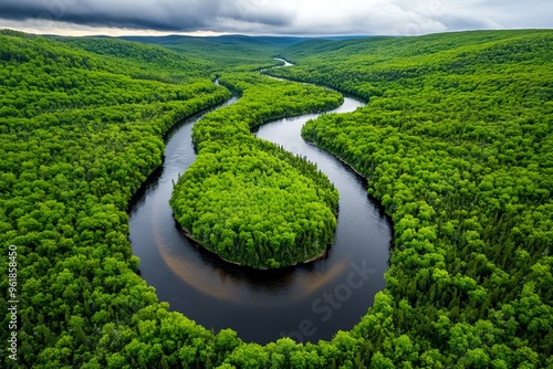 Aerial view, winding river, cutting through the forest adds a dynamic contrast to the vast expanse of trees