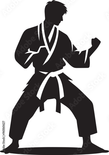Karate silhouette vector illustration isolated on a white background