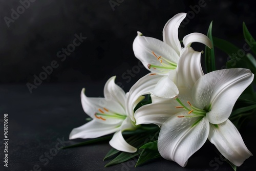 Condolences card with white lilies on black background, copy space