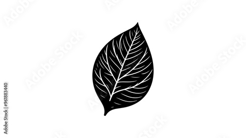 Leaf silhouette vector illustration.