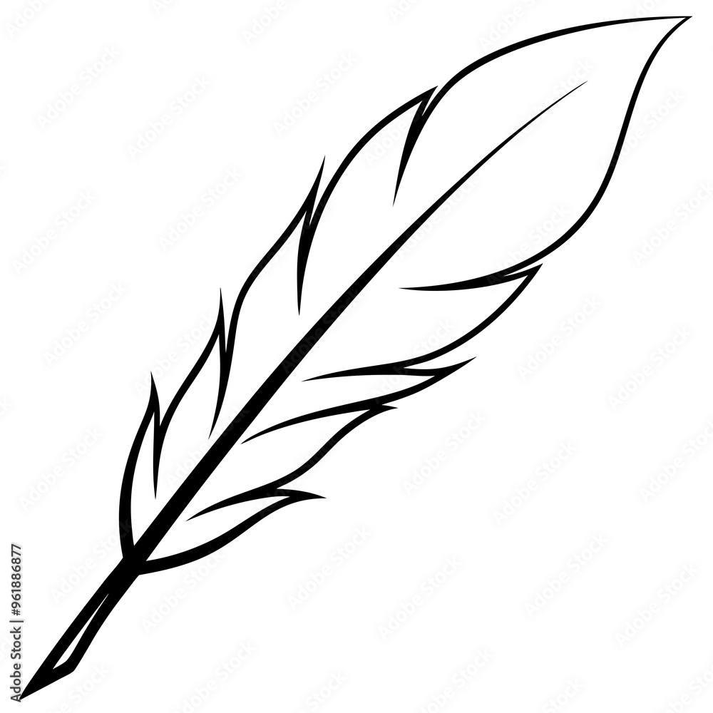 feather on white background feather on white background