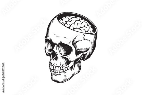 Skull with Brain Vector Illustration – Black and White Line Art Design
