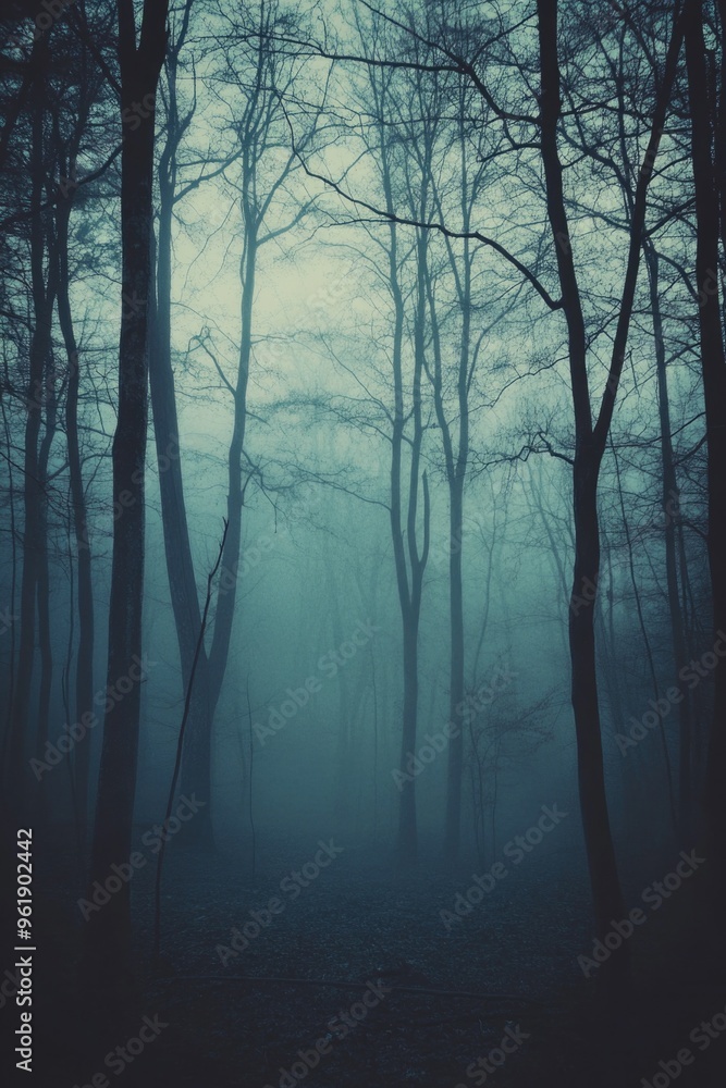 A forest with trees in the background and a foggy sky A forest with trees in the background and a foggy sky