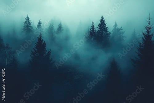 A forest with trees covered in mist