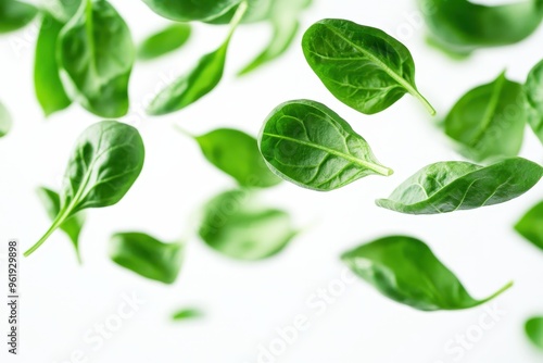 Spinach leaves flying on white background Blurred focus