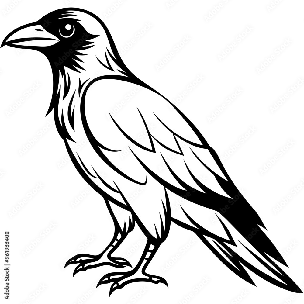 Obraz premium eagle on a white background