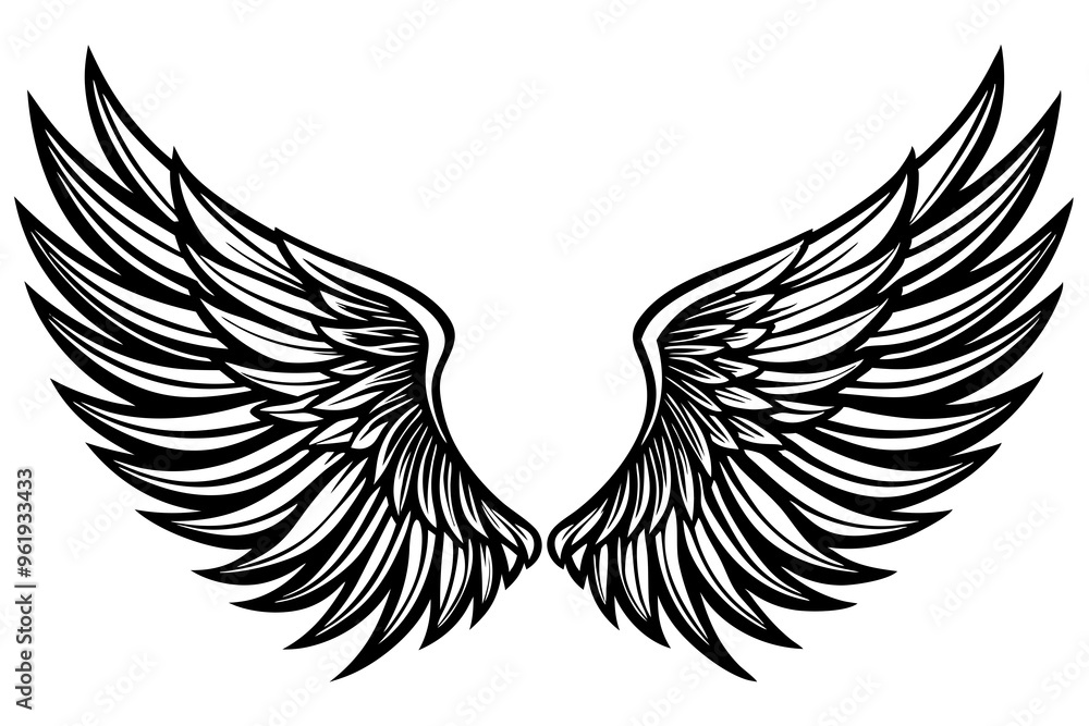 Obraz premium black wings vector