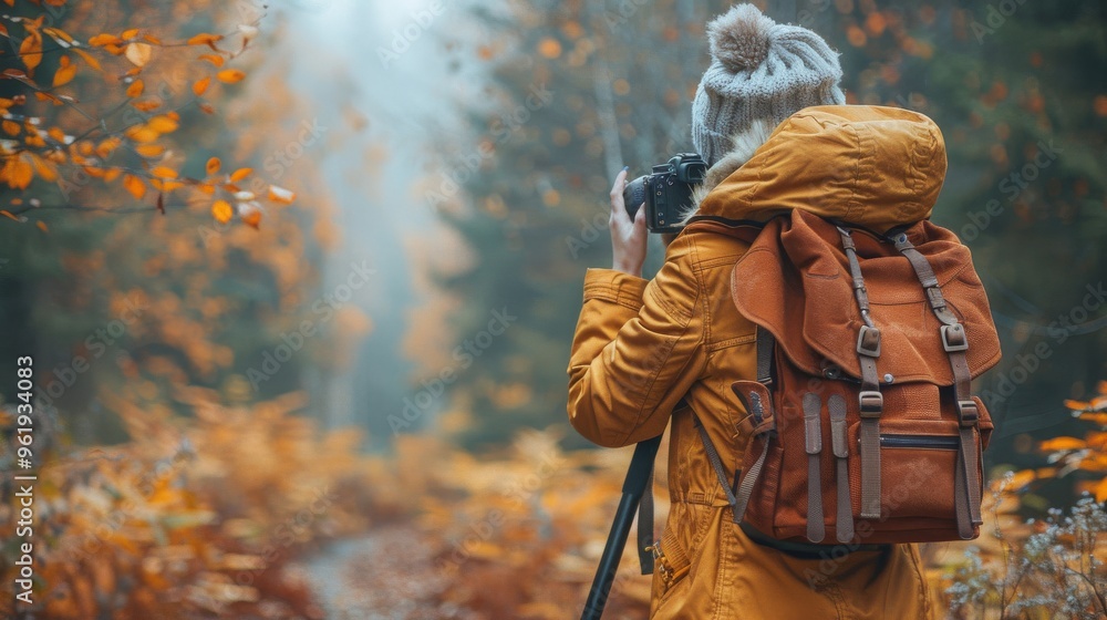 Autumn Forest Photography: Capturing Golden Hues Autumn Forest Photography: Capturing Golden Hues