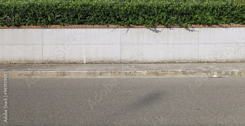 Obraz na plátně House fence made of prefab concrete wall, row of bricks on top and a hedge behind