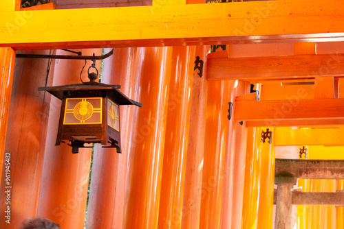 Fushimi Inari Taisha photo