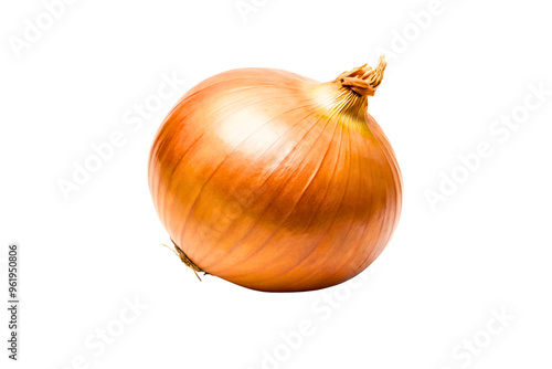 Wallpaper Mural Freshly harvested onion on a white background Torontodigital.ca