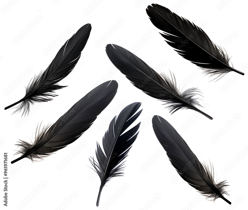 Falling Crow Dark feathers PNG black Feathers isolated on white and transparent background - Ethereal plumage Featherfall Soft descent Falling Crow Dark feathers PNG black Feathers isolated on white and transparent background - Ethereal plumage Featherfall Soft descent