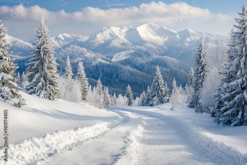 Snowy Mountain Path Winding Through Fir Trees