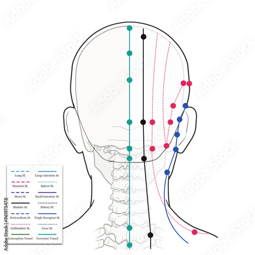 머리와 얼굴 경혈 혈자리 설명 일러스트