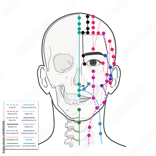 머리와 얼굴 경혈 혈자리 설명 일러스트