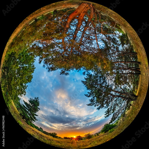 Sunrise in the countryside with coniferous trees pine trees. HDR photo in fulldom format taken through a circular fisheye lens. Wide angle of view 180 degrees