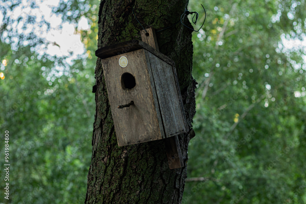 A rustic wooden birdhouse is securely attached to a tree trunk with wires, surrounded by lush green foliage, creating a natural and serene environment.
A rustic wooden birdhouse is securely attached to a tree trunk with wires, surrounded by lush green foliage, creating a natural and serene environment.