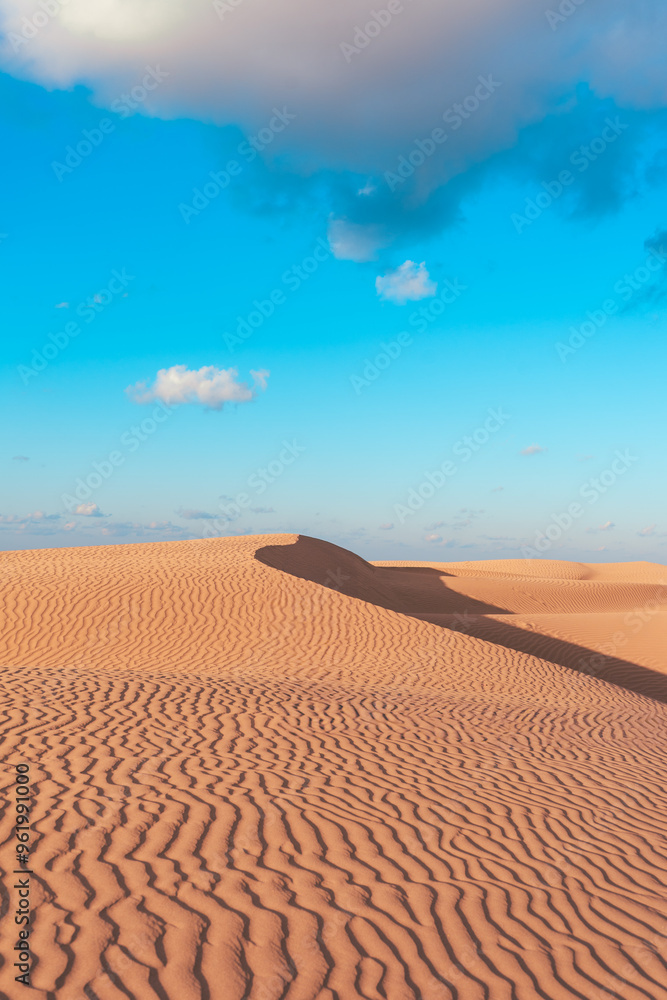Naklejka premium wave texture on orange desert with blue sky at background