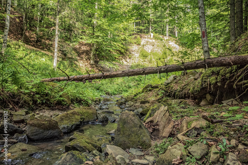 Cascada Bursuc, Putna 727455  -  Europe, Romania, Suchav region  photo