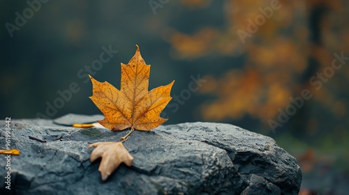 An artistic display of an orange maple leaf resting on a smooth rock, surrounded by a serene autumn landscape. photo