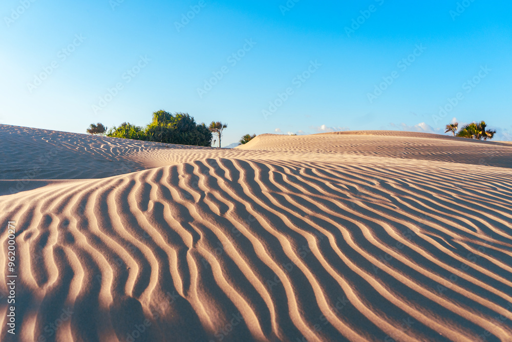 wave texture on orange desert with blue sky at background wave texture on orange desert with blue sky at background
