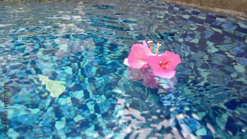 pink petals flower in water