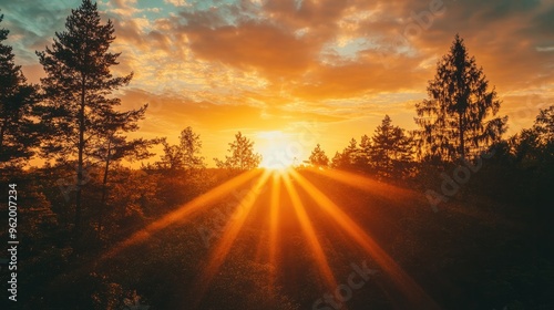 A scenic sunset with golden rays casting a natural lens flare over a silhouette of trees in the foreground